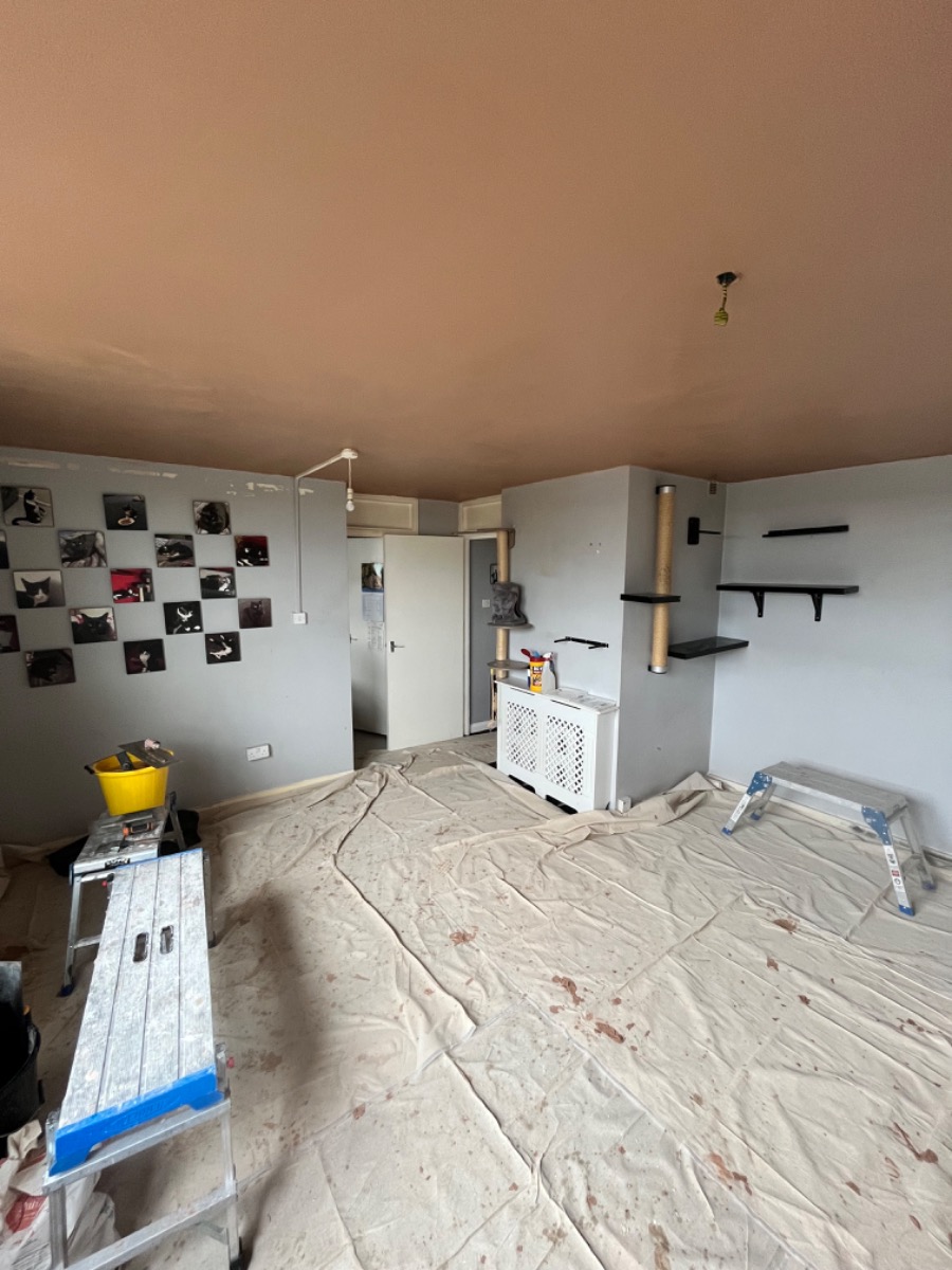 Plasterer: Image 1